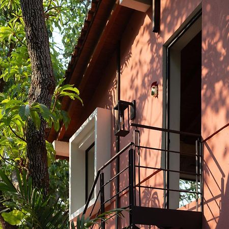 La Paranera Hotel & Relax Comala エクステリア 写真