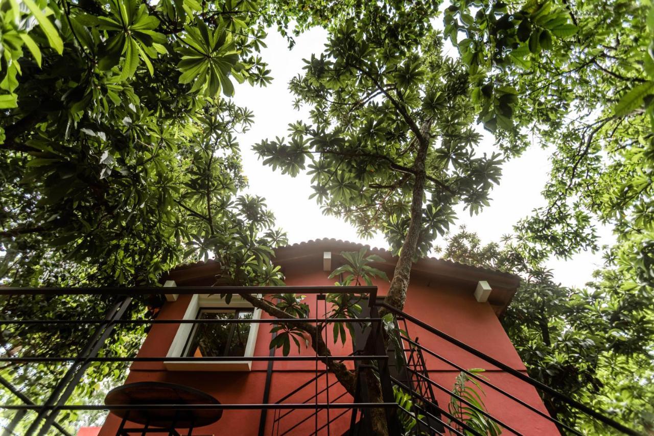 La Paranera Hotel & Relax Comala エクステリア 写真